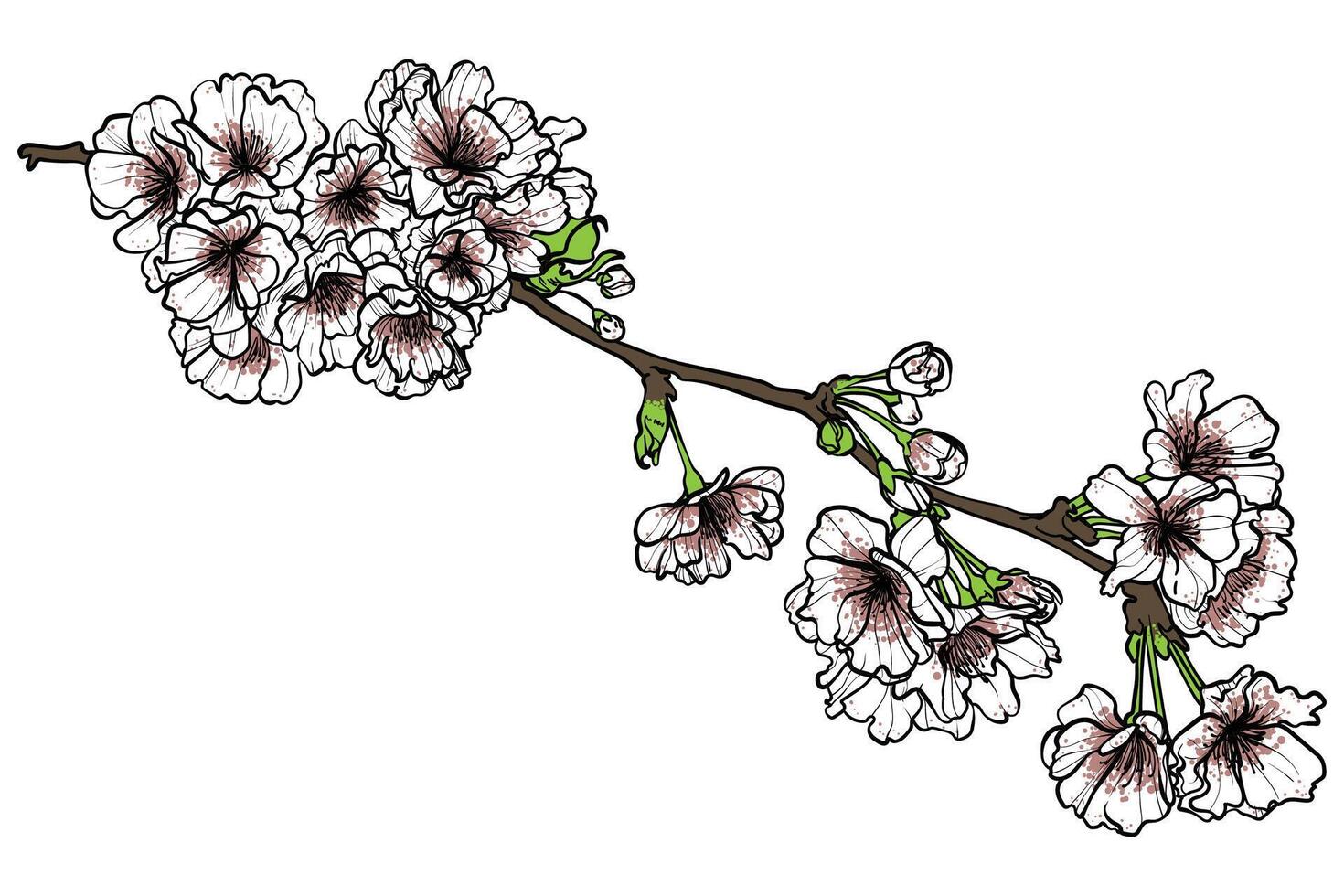 White and pink petals hand drawn with green leaves on brown branches. Elegant cherry blossoms for print and online design projects. These assets are ready to use, easy to edit. vector