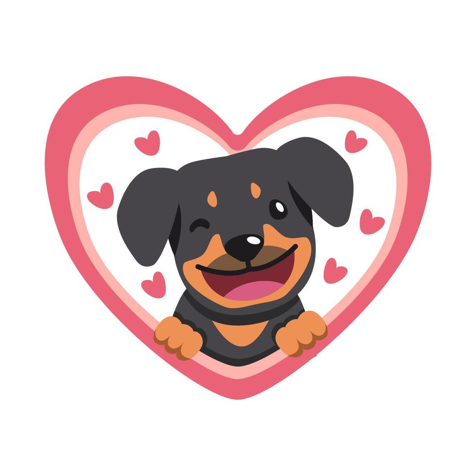 cartoon valentine cute rottweiler dog with big heart vector