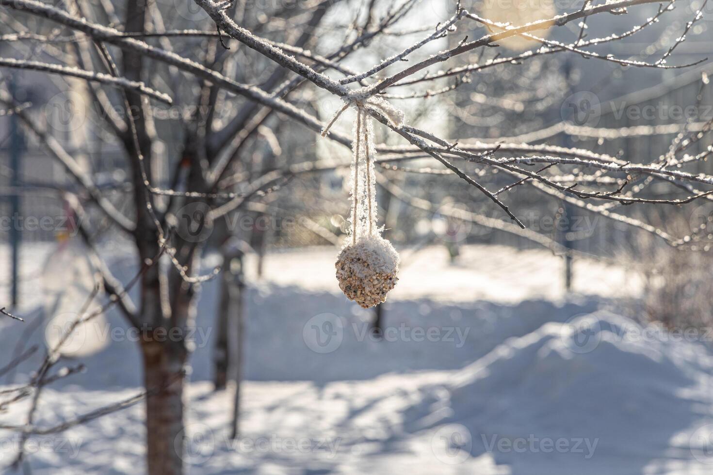 A bird feeder from brown seeds is on a gray tree in a park in winter photo