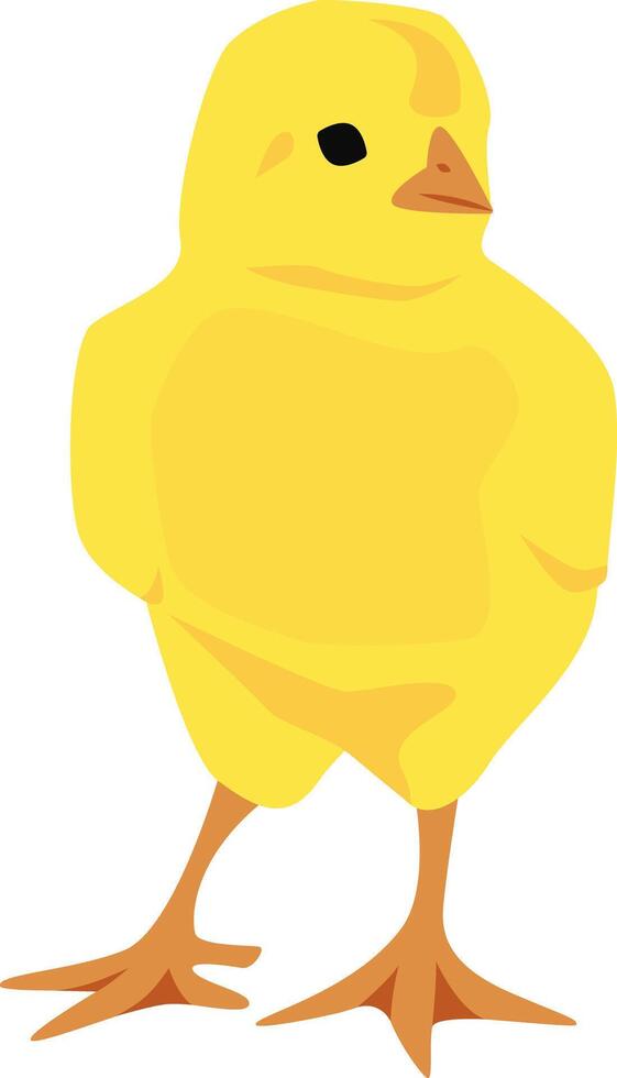 Standing yellow little chicken. vector