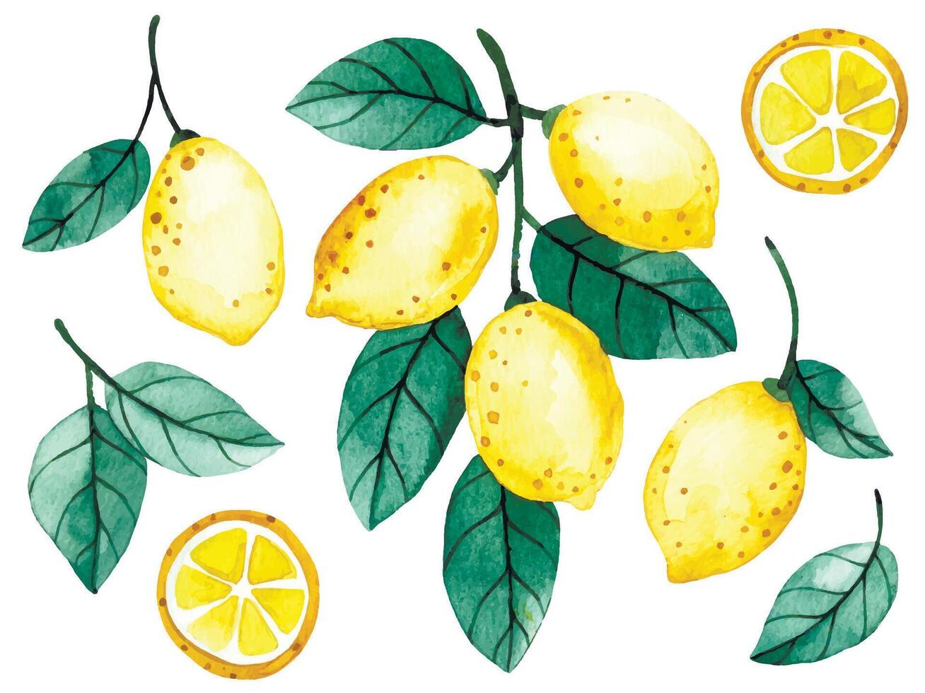 watercolor illustration, set of lemon fruits and leaves. cute drawing in cartoon style vector