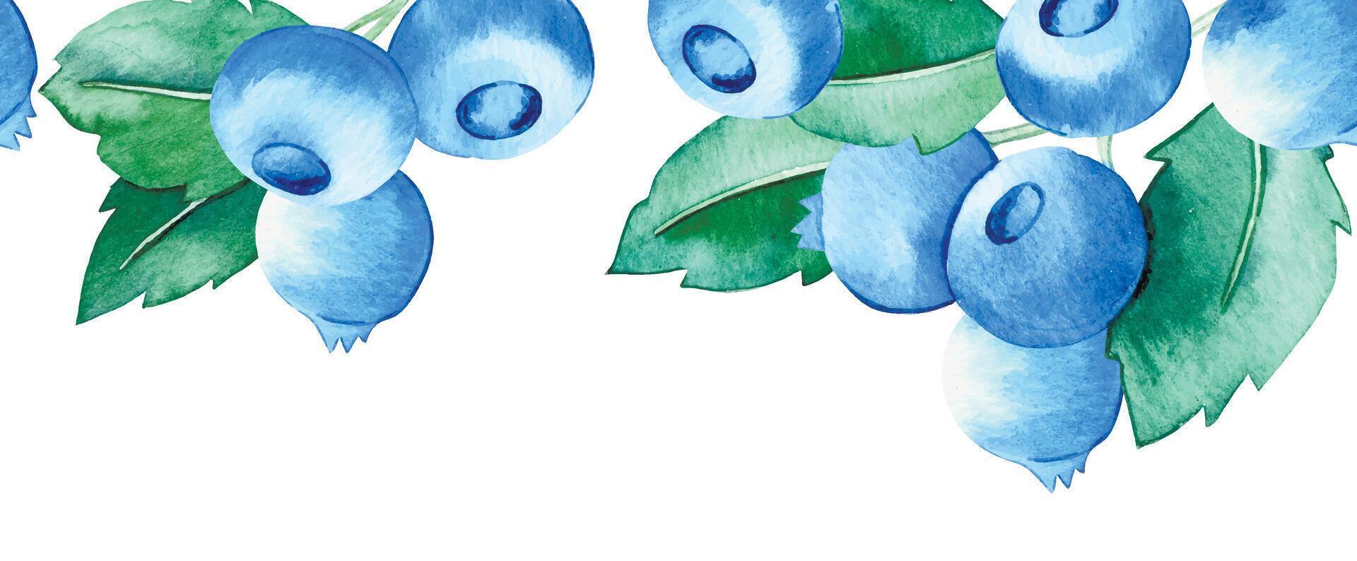 watercolor illustration, seamless border of blueberries and leaves. cute frame in cartoon style vector