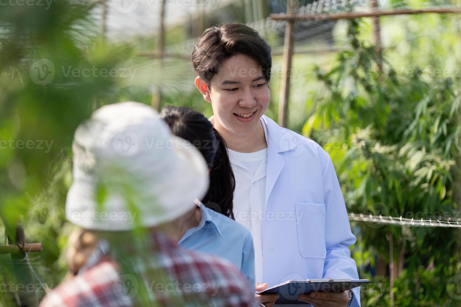 Happy researcher reviewing cannabis growth data with colleagues in a greenhouse. photo