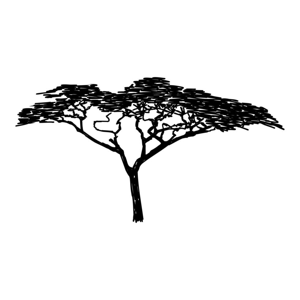african tree silhouette illustration vector