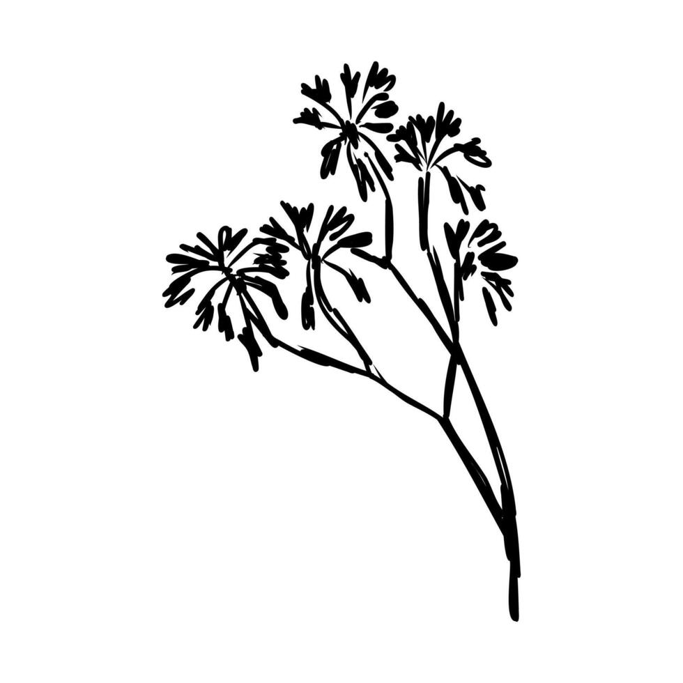 a black and white drawing of a plant with flowers vector