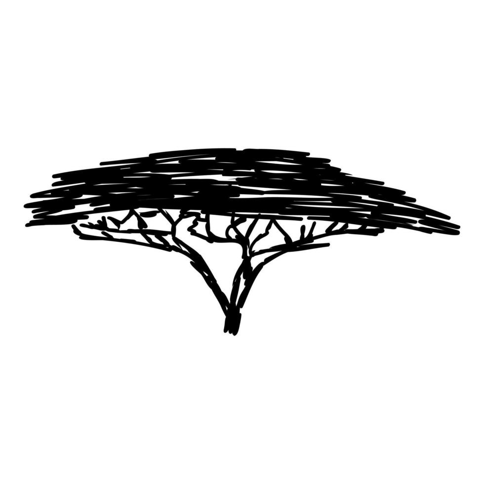 tropical savanna beautiful tree sketch vector