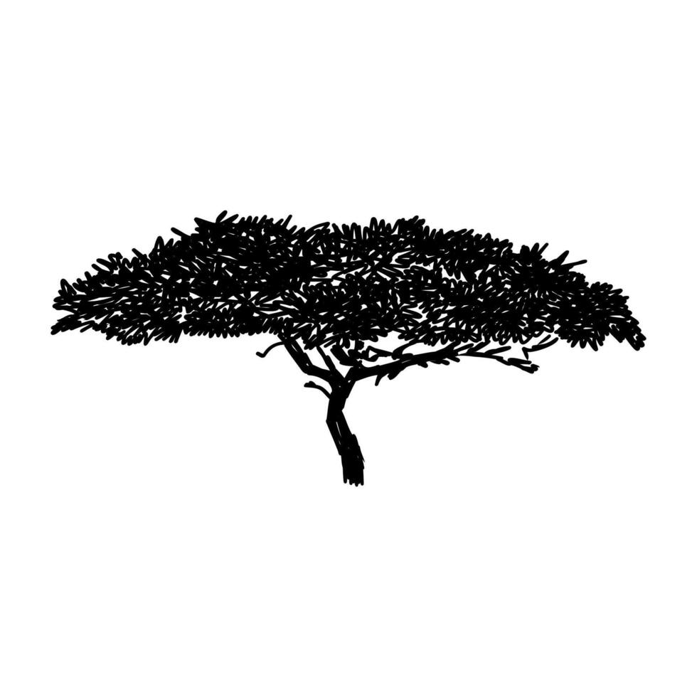 african tree silhouette vector