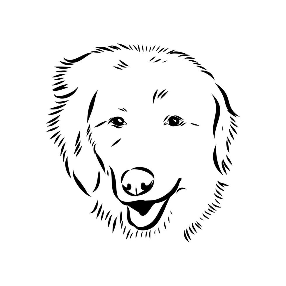 a dog's face is drawn in black and white vector
