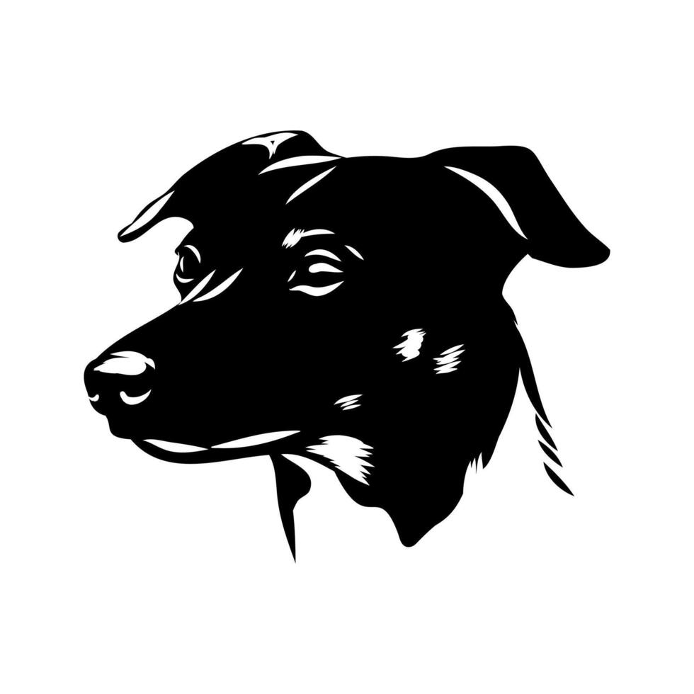 dog duncker sketch vector