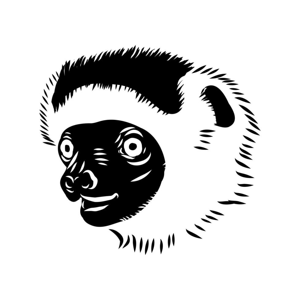 Madagascar sifaka head sketch vector