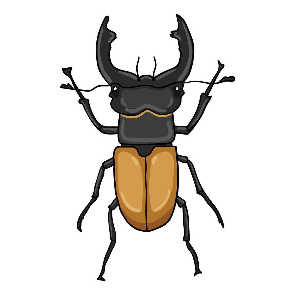 Cartoon hand drawn illustration of a Stag beetle vector