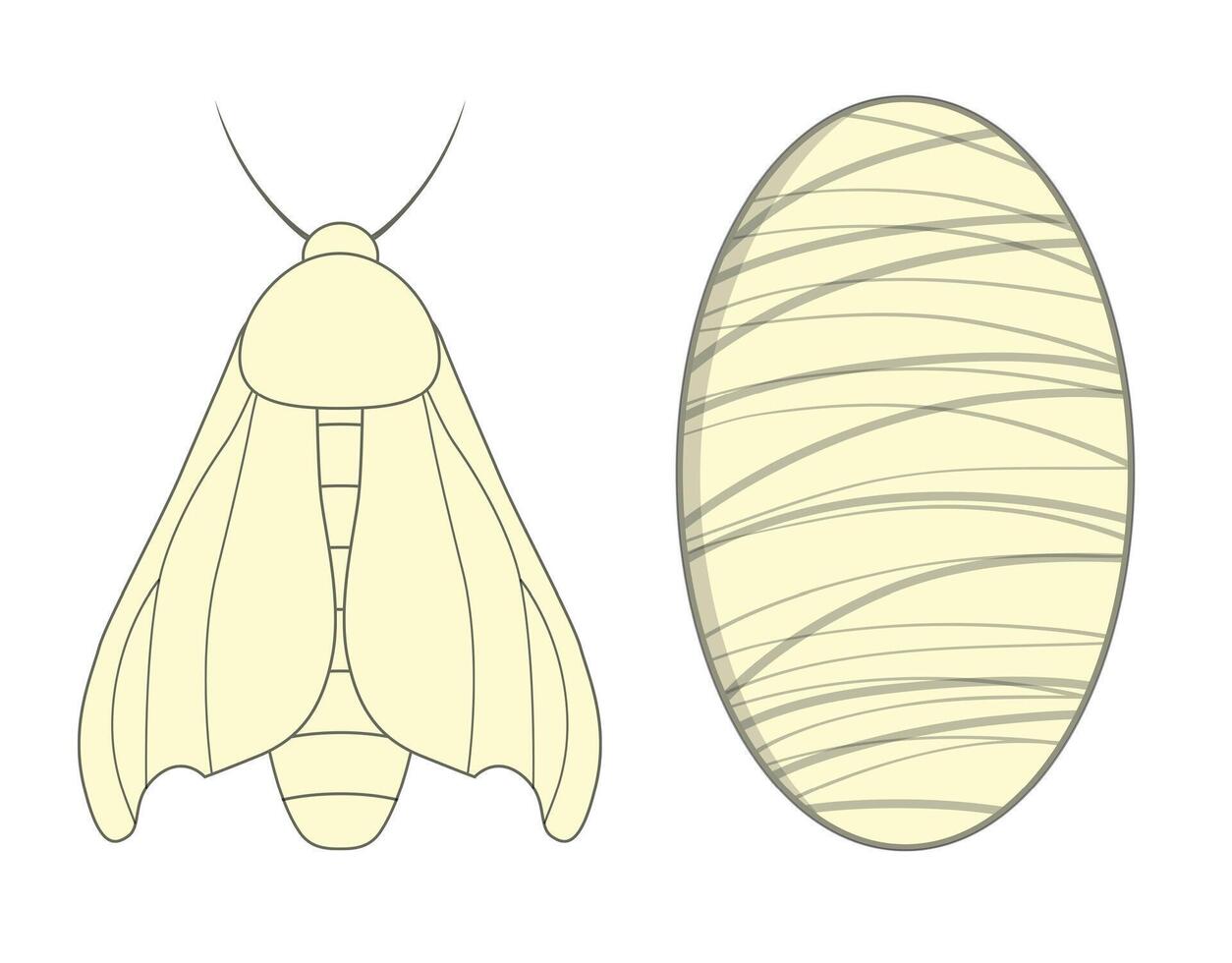 Silkworm with cocoon glyph icon. Silk material vector