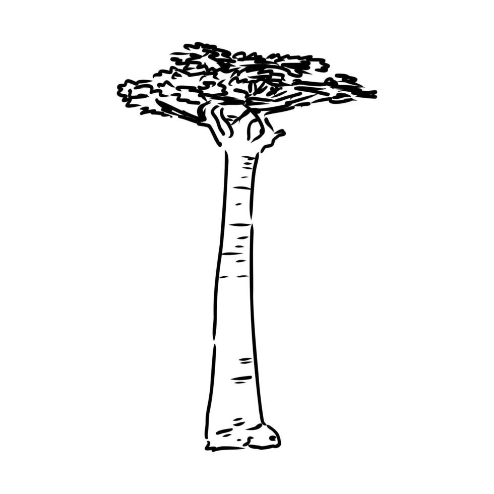 a black and white drawing of a tree vector
