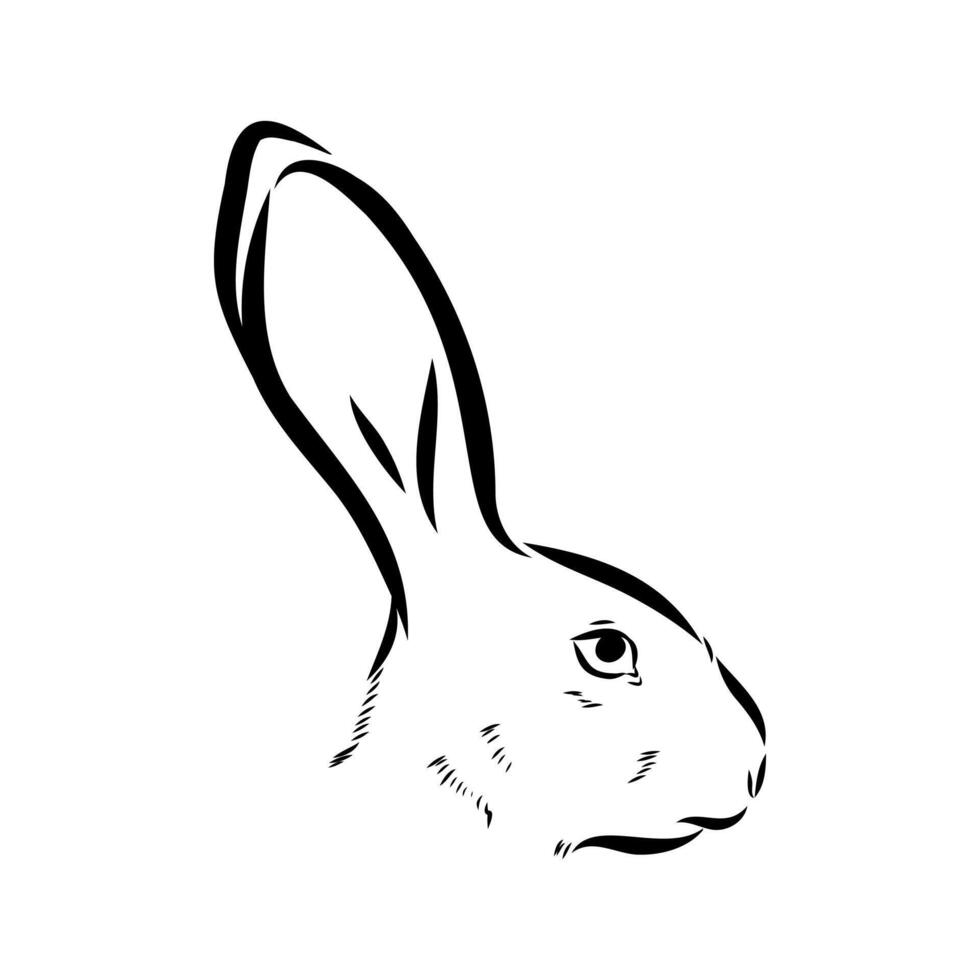 a black and white drawing of a rabbit's head vector