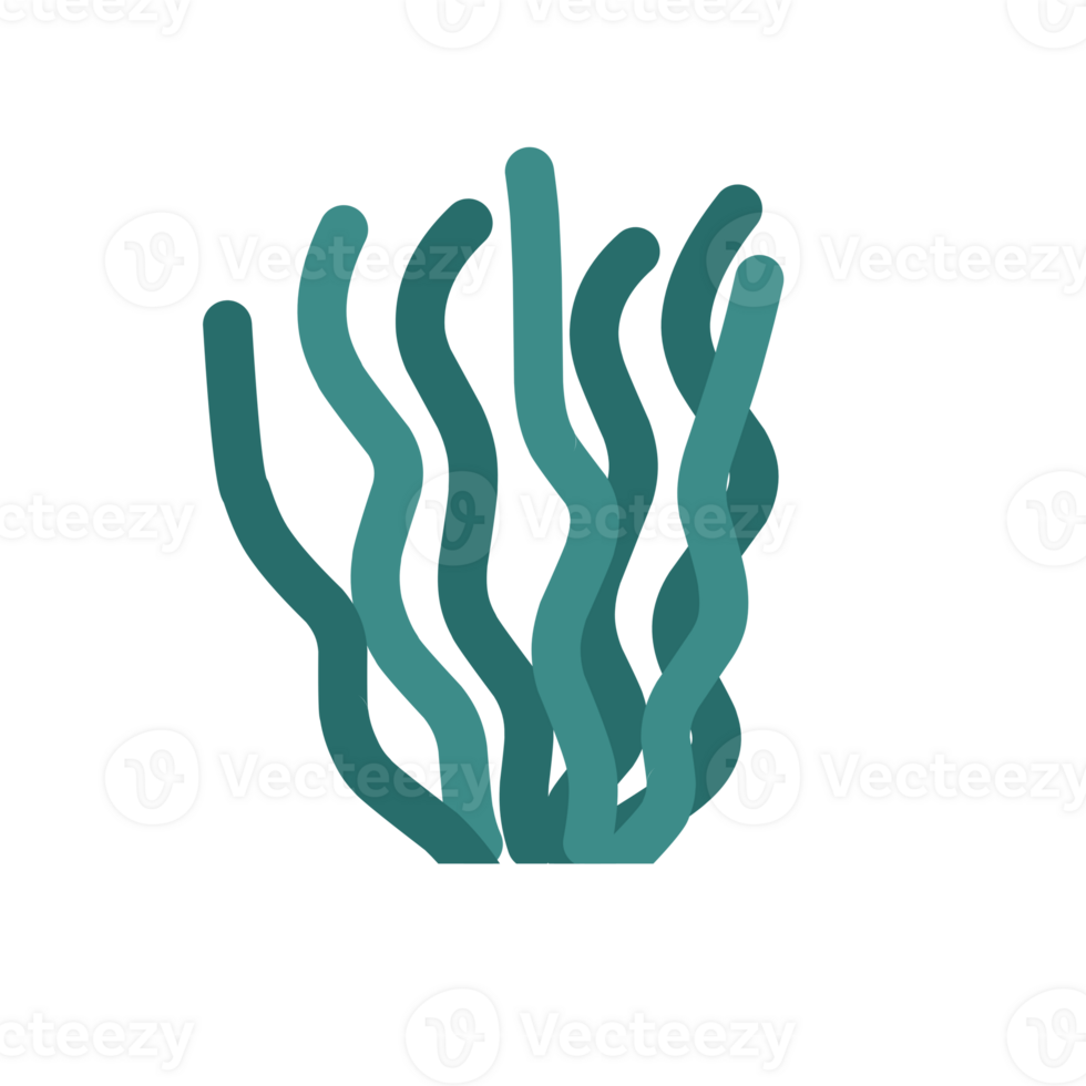 Wild Plant Illustration png