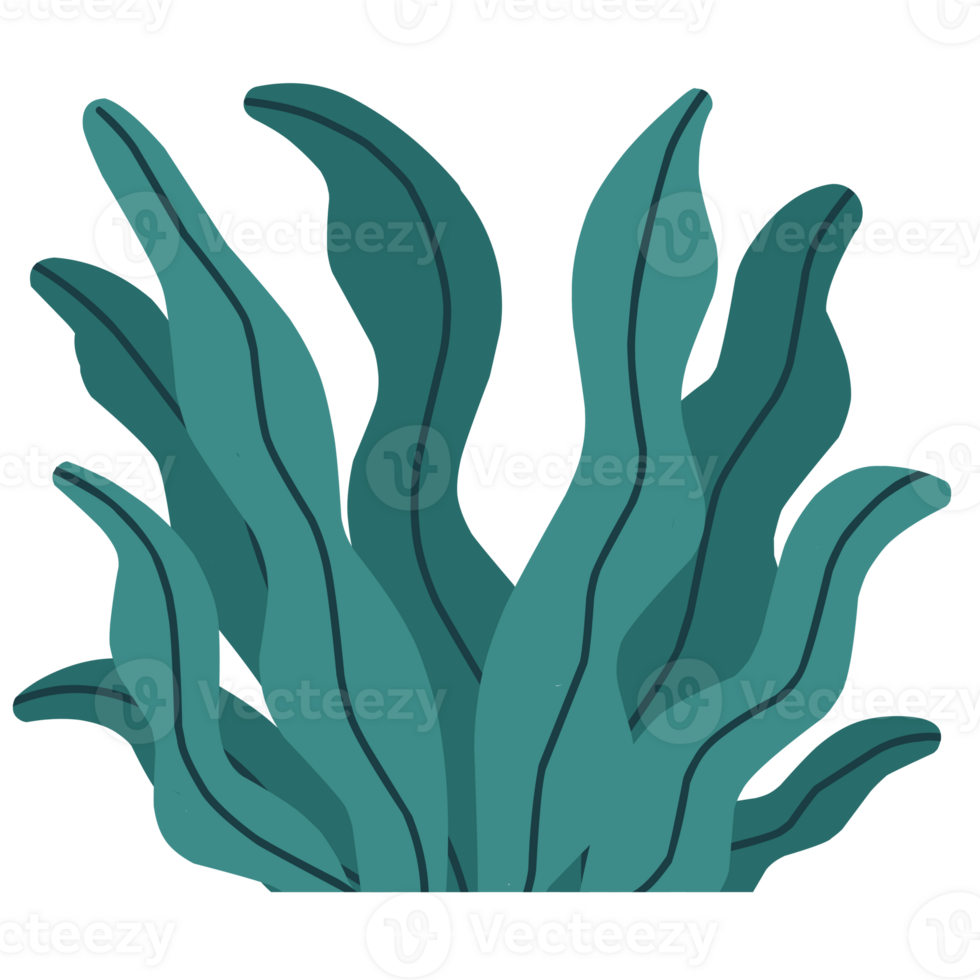 Green Lawn Illustration png