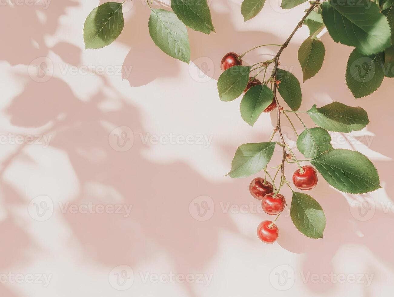 Ripe cherries hanging from branch with green leaves, casting soft shadows on light background, creating serene and fresh atmosphere photo