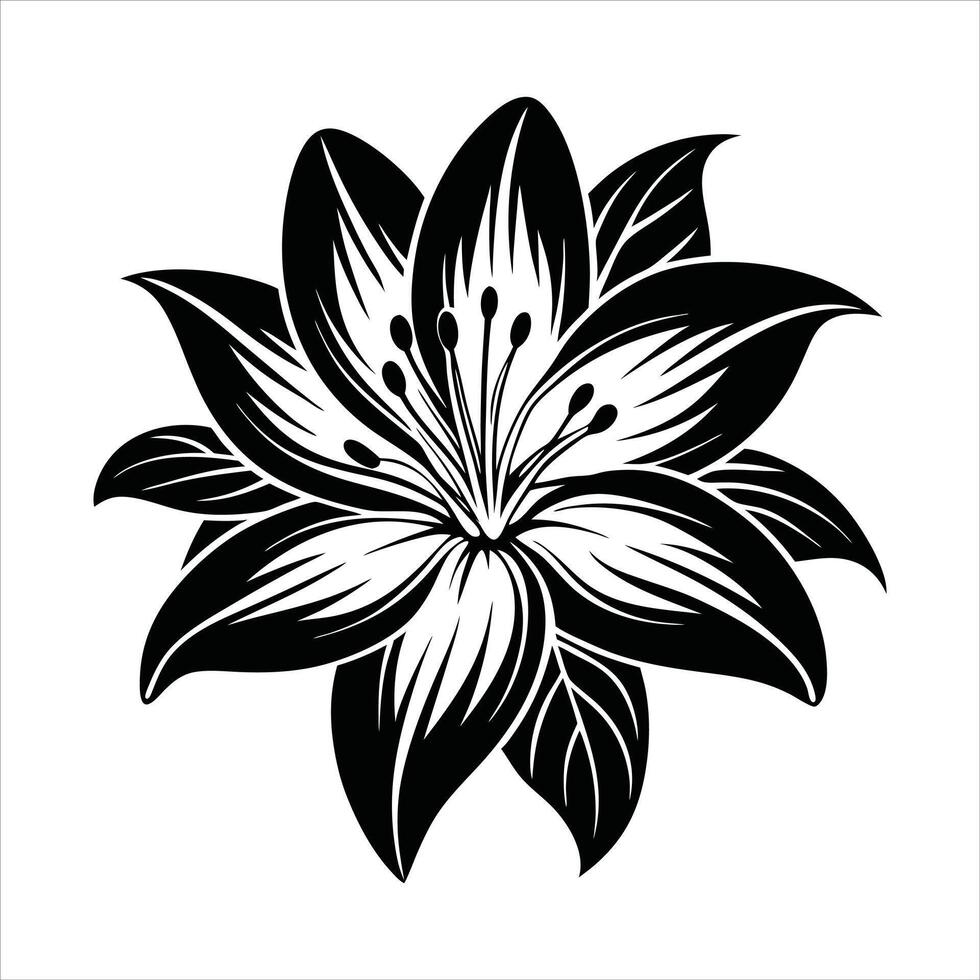 Lily Flower Delicate and Refined vector