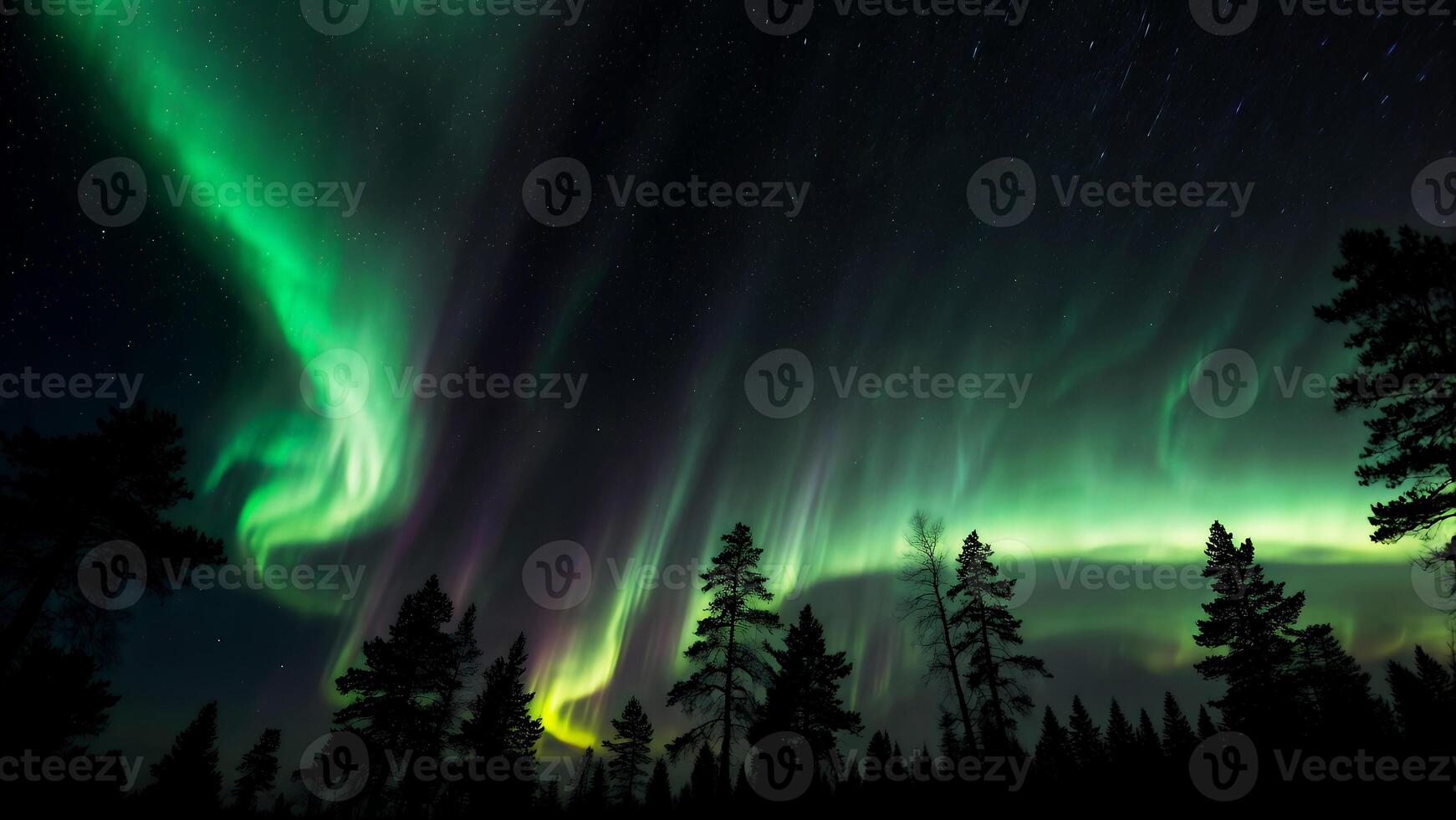 The aurora borealis is seen in the sky above trees photo