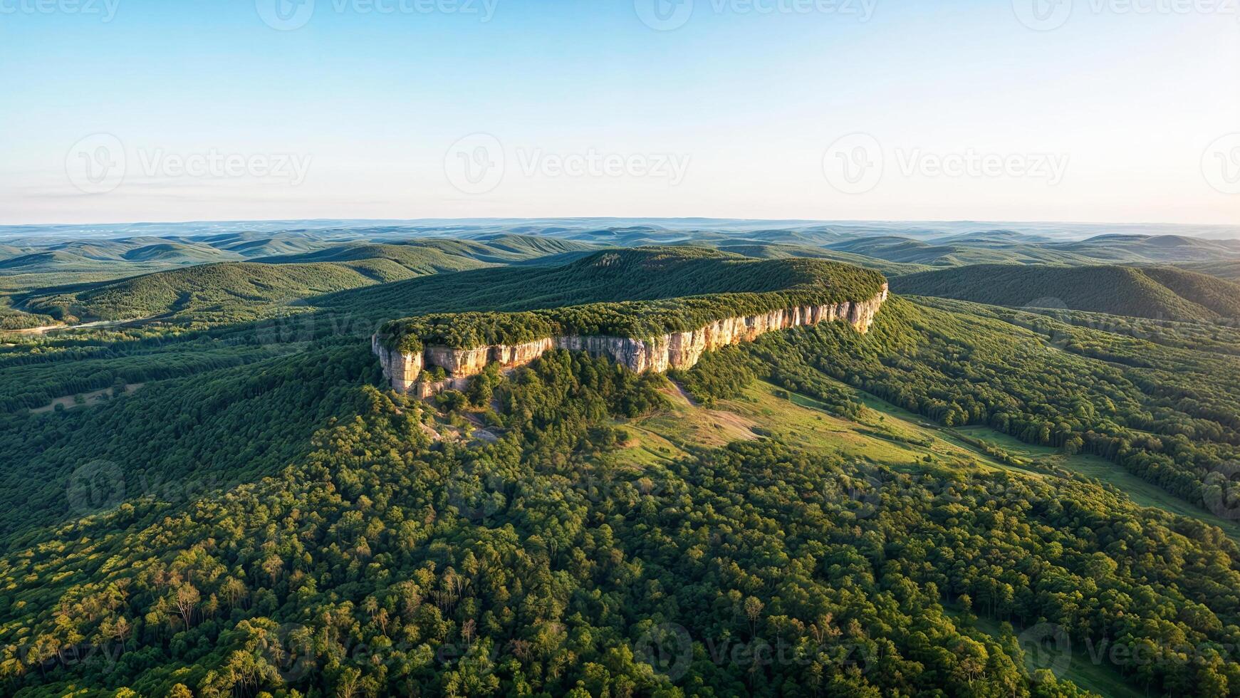 An aerial view of a large rock formation in the middle of a forest photo