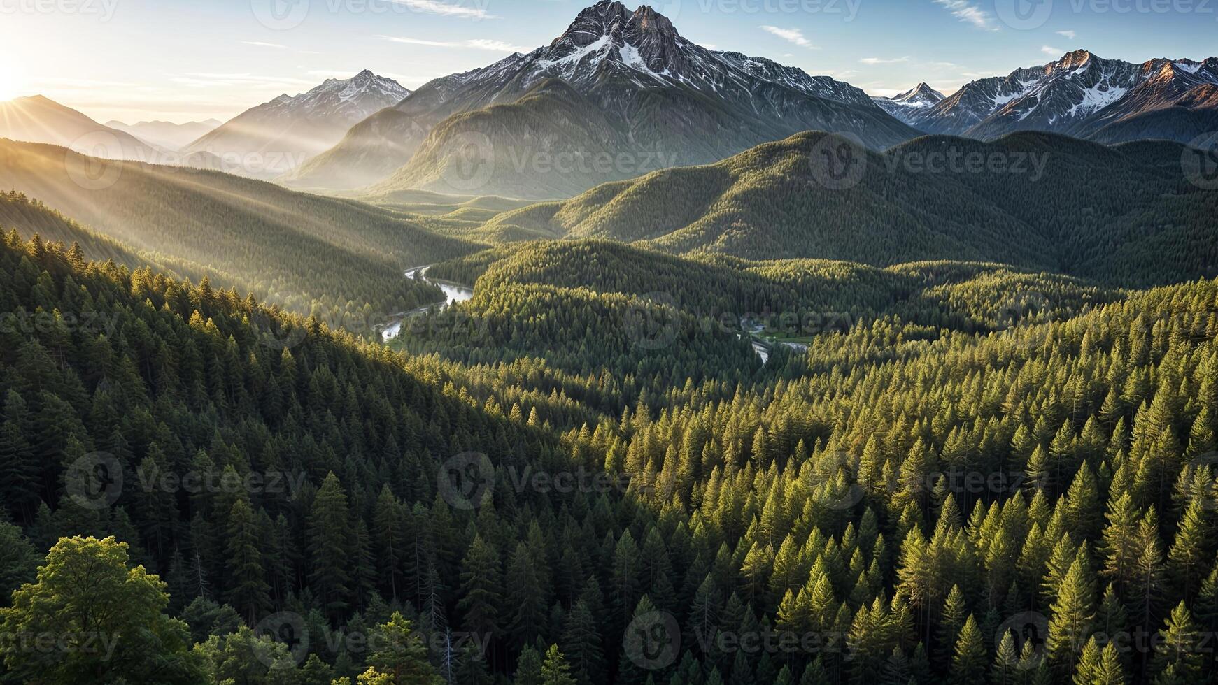 A view of the mountains and forest in the morning photo