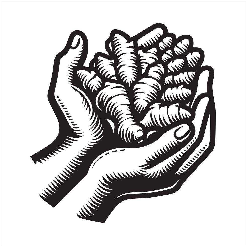 Hand Grasping Ginger Rooted Energy vector