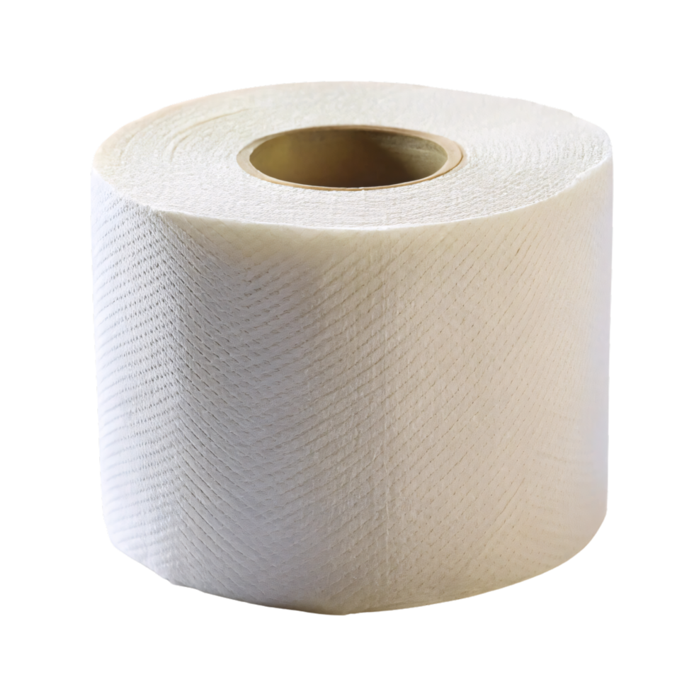 A roll of toilet paper, slightly different angle, showcasing its soft texture and perforated pattern, a staple for everyday use png
