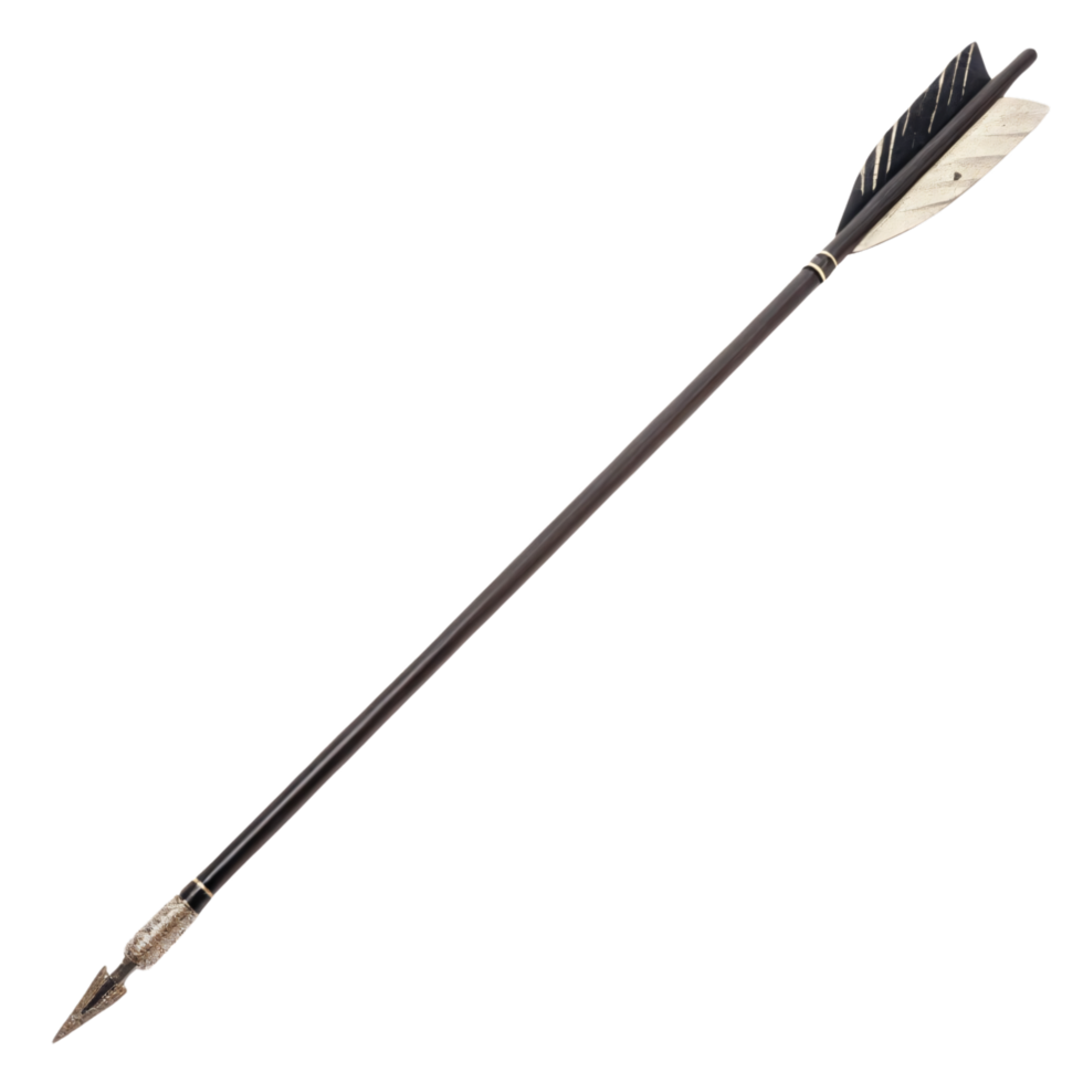 An arrow with contrasting black and white feathers, coupled with a precise, sharp metallic tip, embodying elegance and utility png