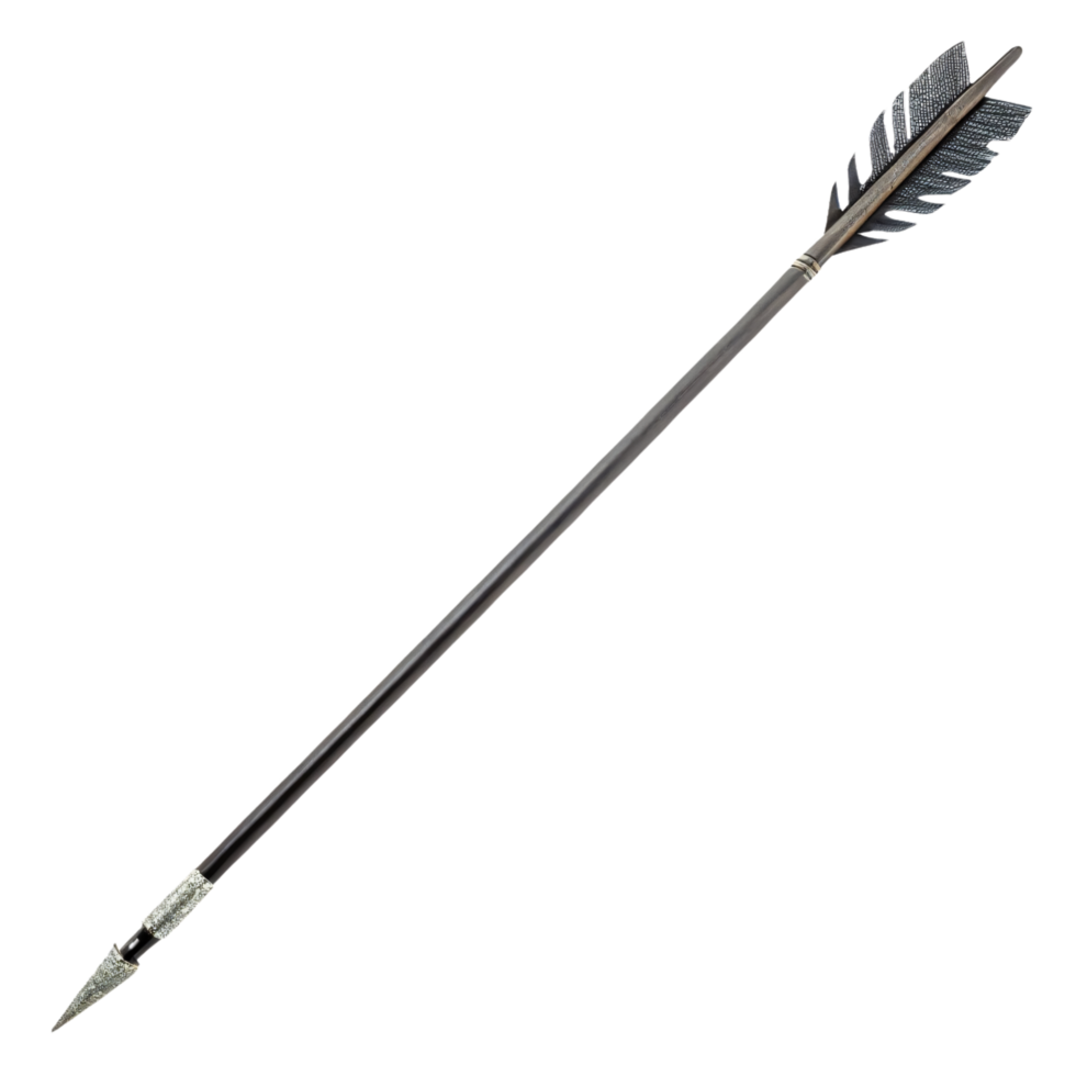 A sleek arrow with a black shaft and feathered fletching, paired with a metallic, sharp arrowhead png