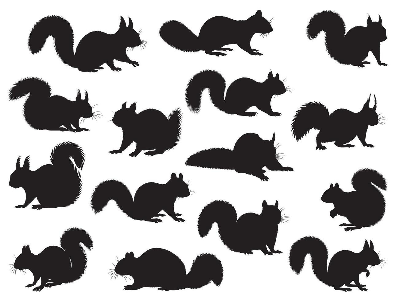 Squirrel silhouette white background vector