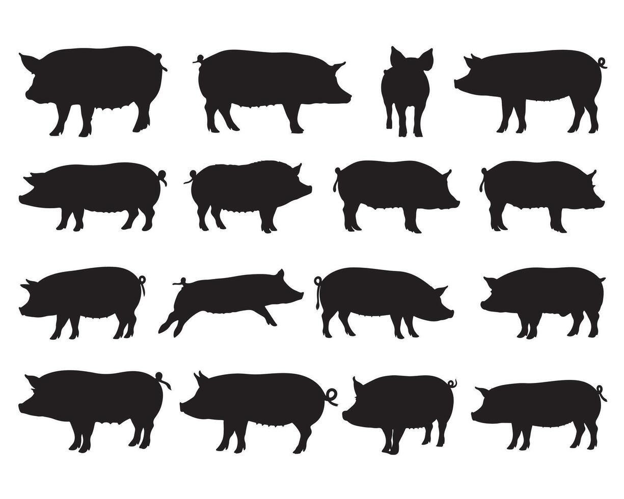 Pigs silhouette white background vector