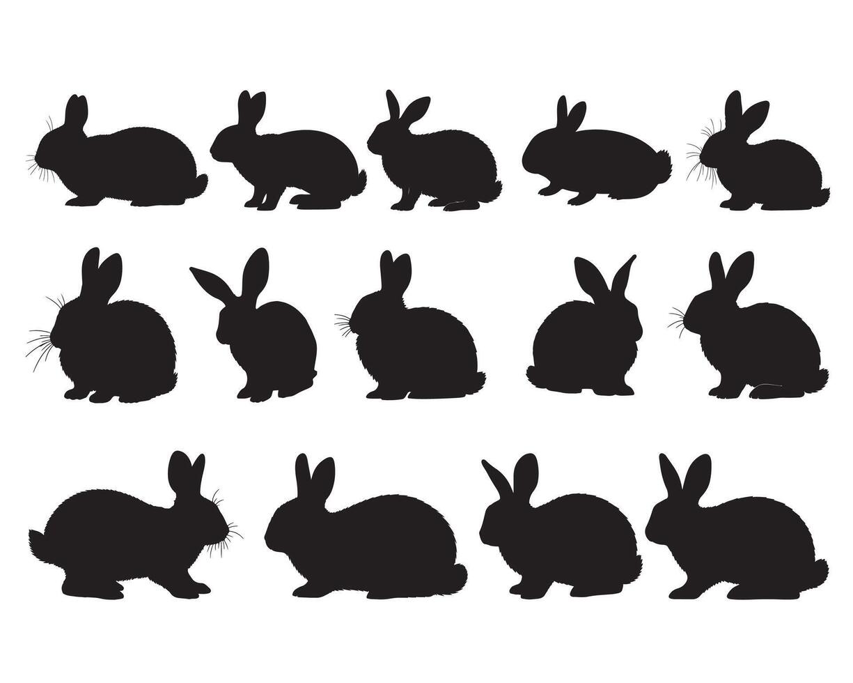 Rabbit silhouette white background vector