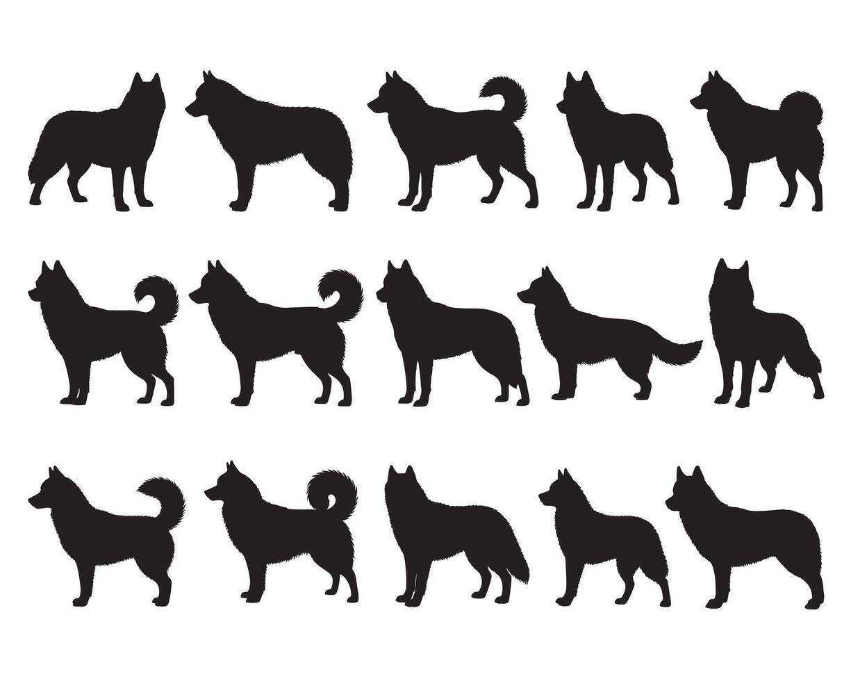 Siberian husky silhouette white background vector
