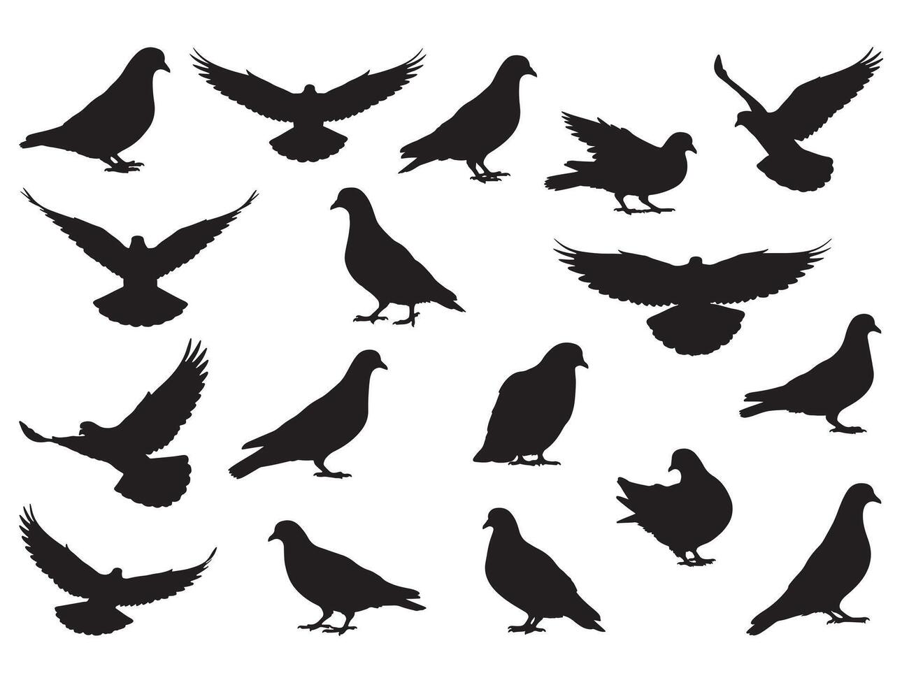 Pigeons silhouette white background vector