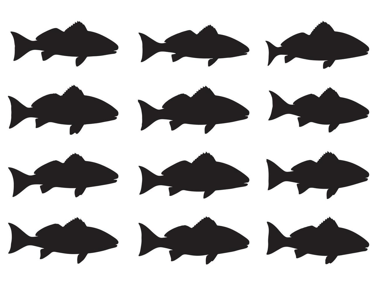 Red Drum Fish silhouette white background vector