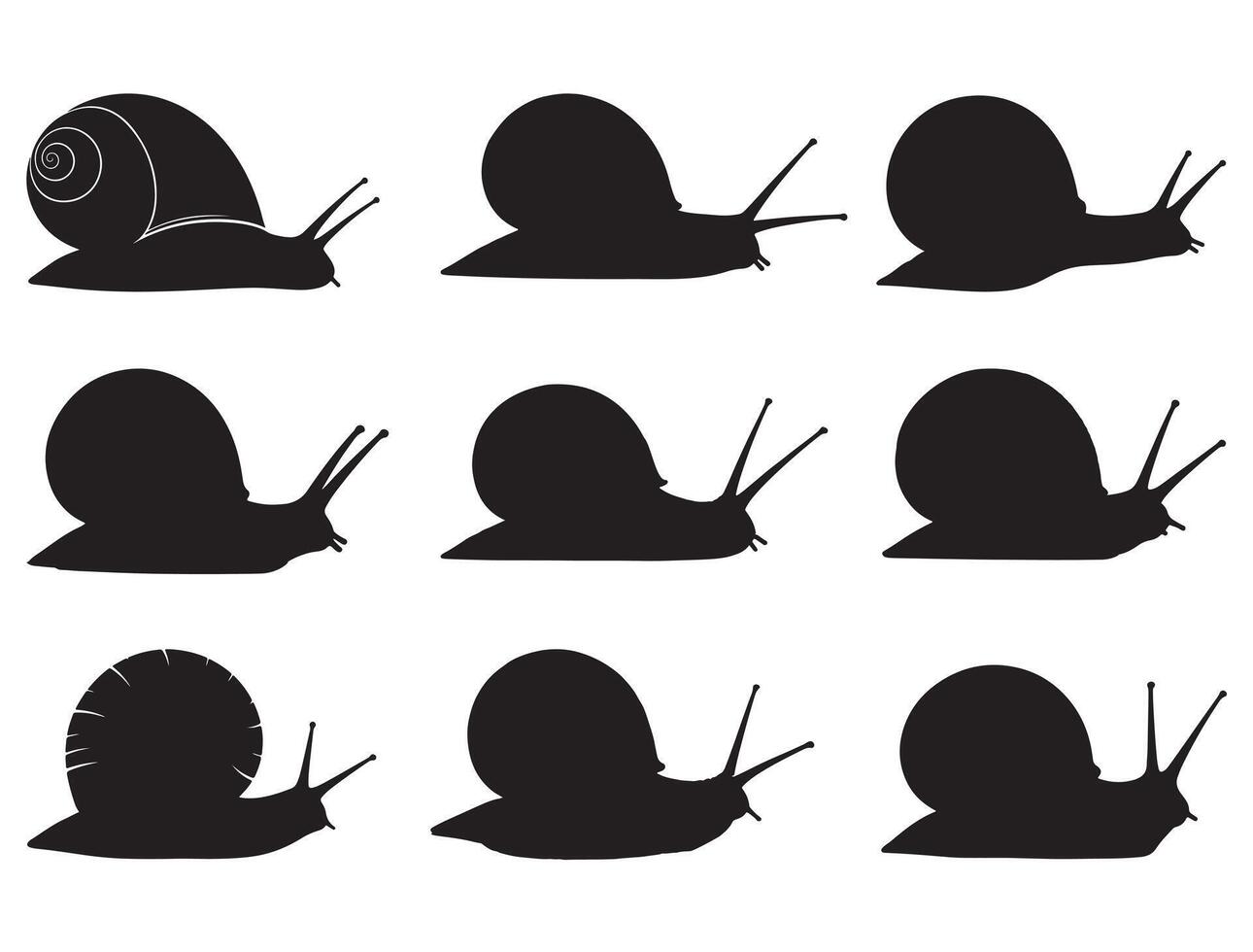 Snails silhouette white background vector