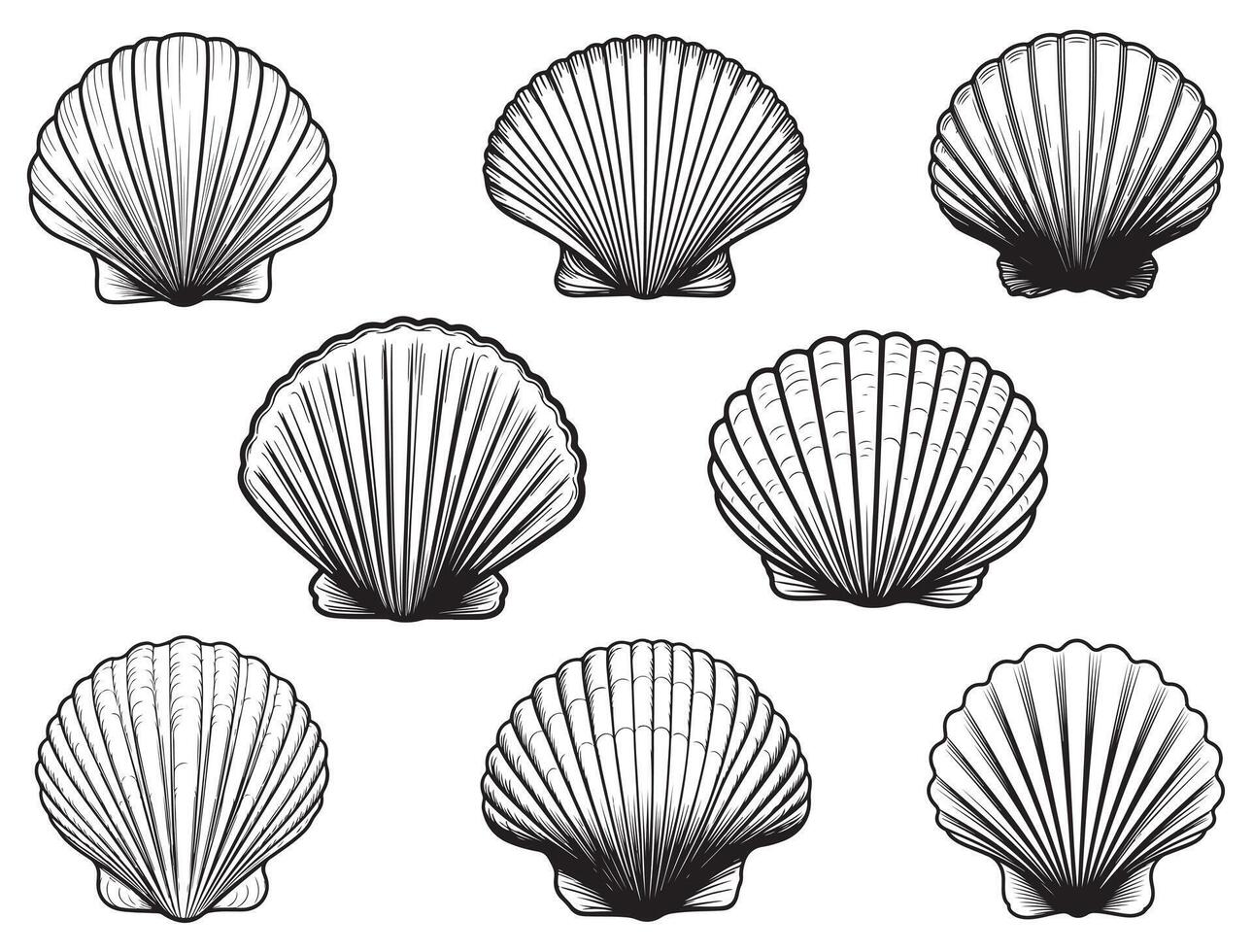 Seashell silhouette white background vector