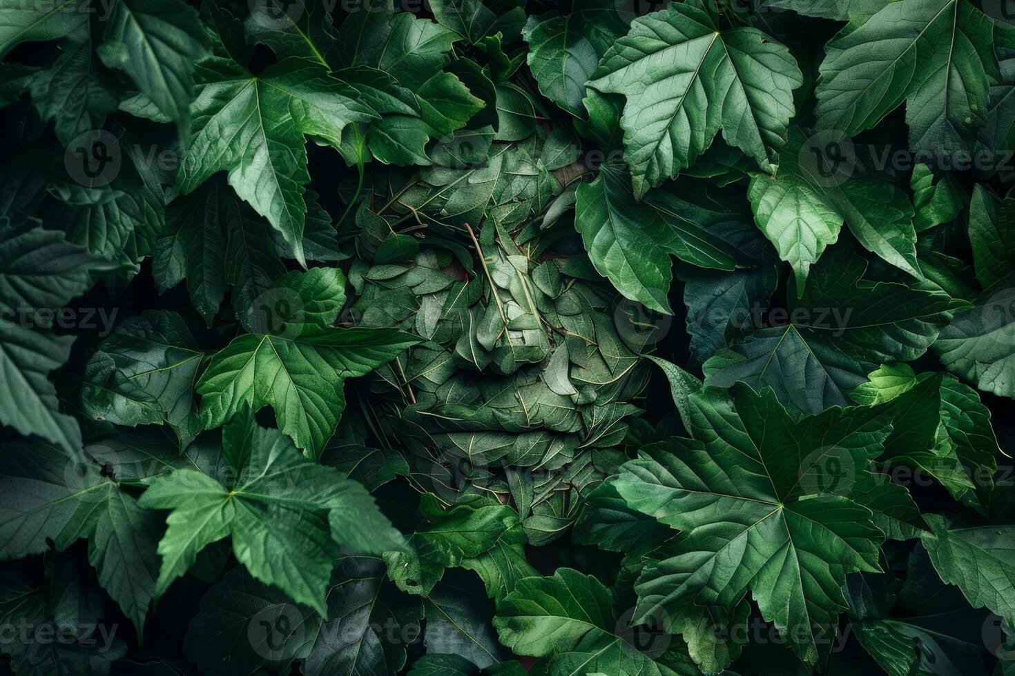A man's face is surrounded by green leaves photo