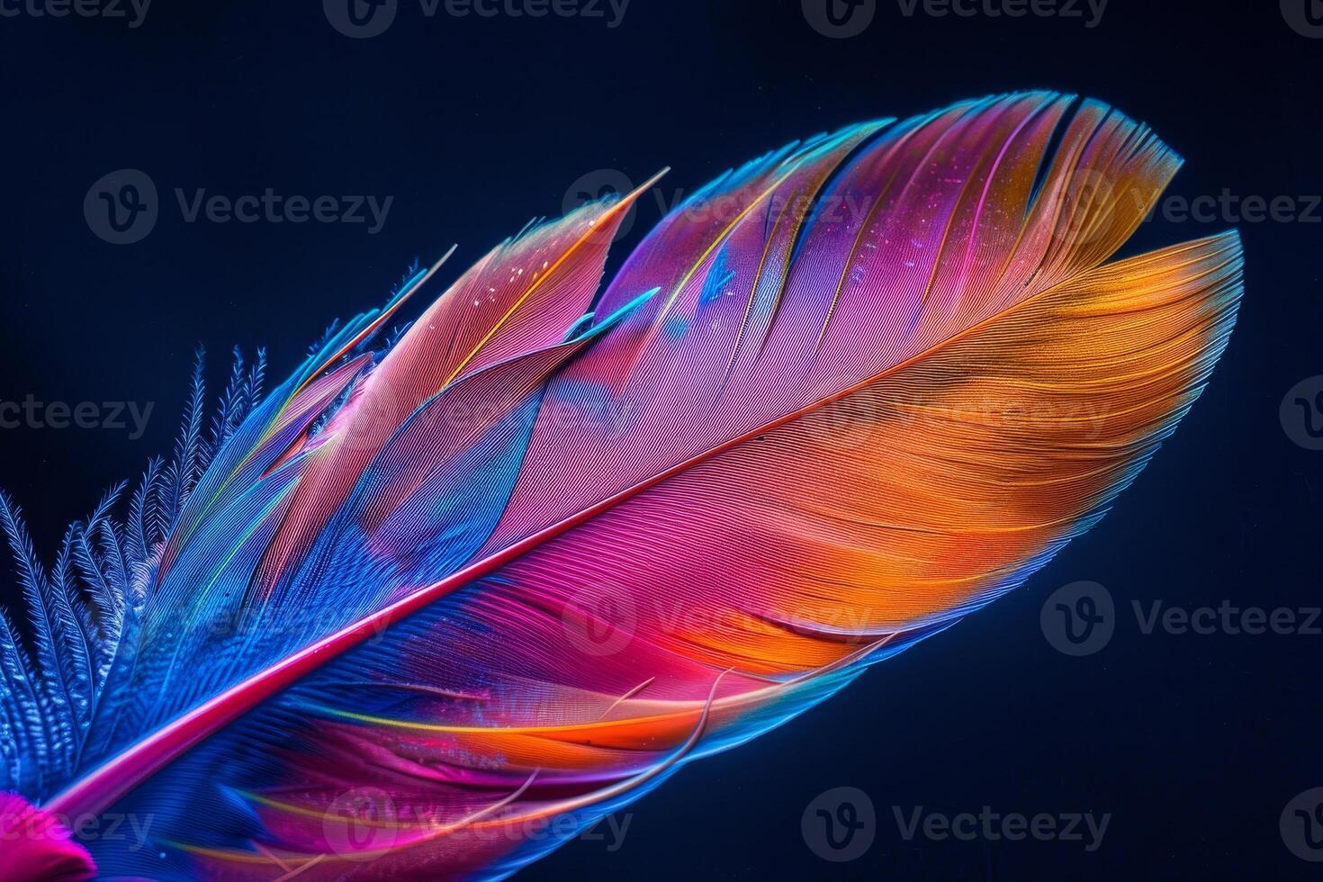 A vividly colored feather showcases gradients of blue, purple, and orange, highlighting the delicate structure and stunning patterns found in nature's artistry photo
