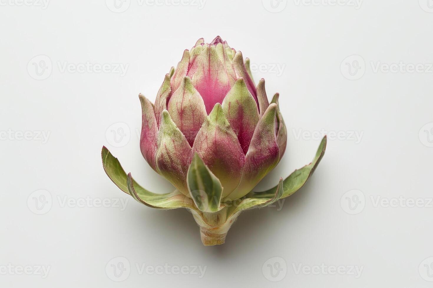 The artichoke features a rich blend of greens and purples, highlighting its layered leaves and intricate design. It rests on a neutral backdrop, emphasizing its beauty photo