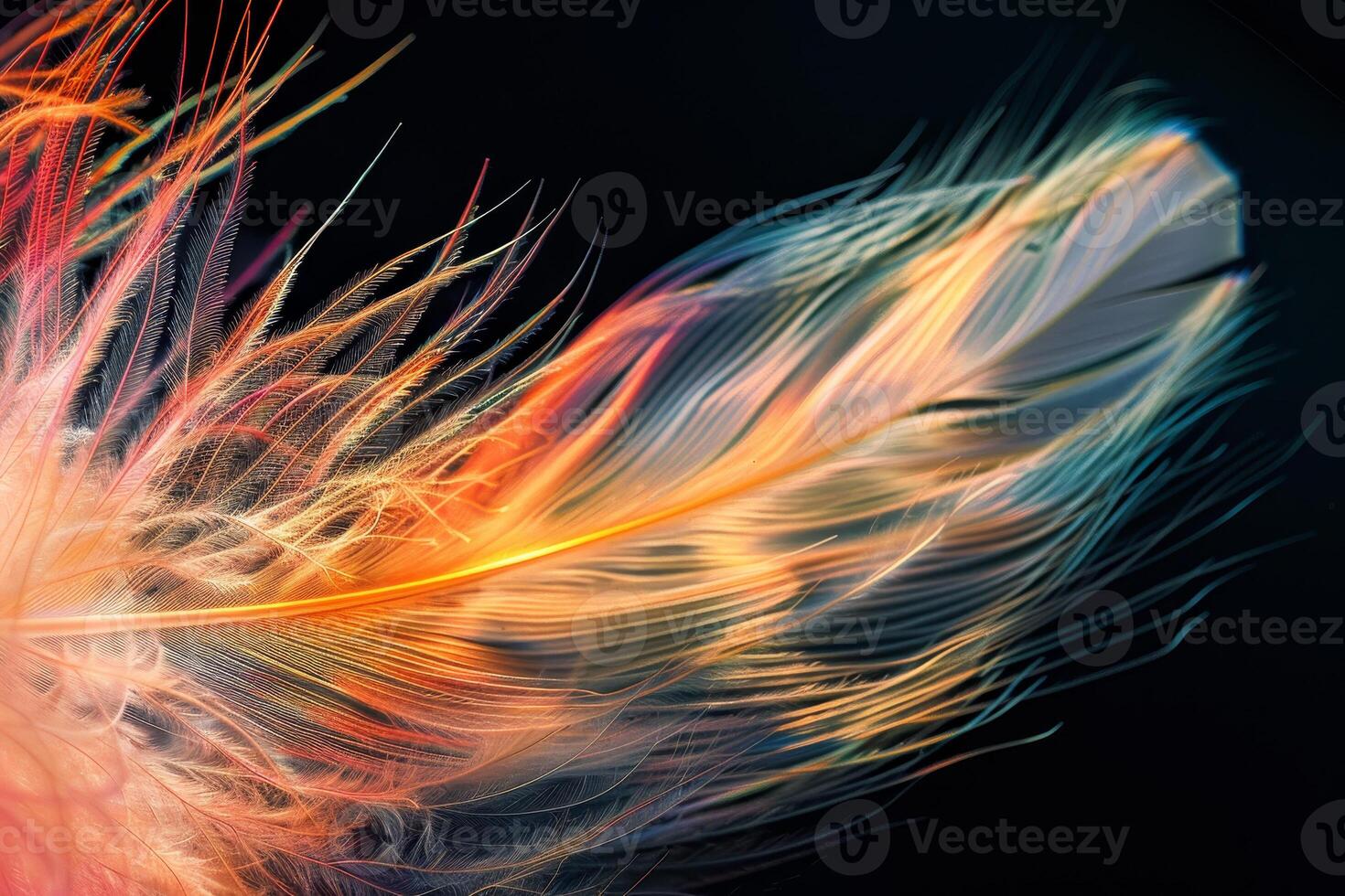 A close up of a colorful feather on a black background photo