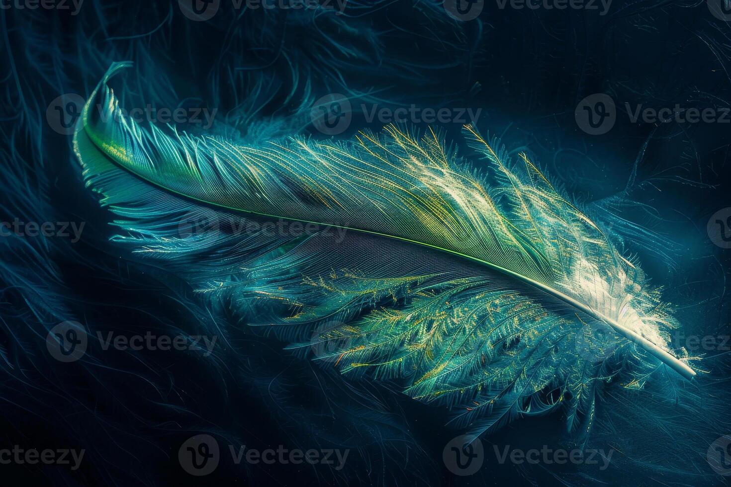A colorful feather lies gracefully on a dark, textured background, showcasing intricate details and patterns, all highlighted by ambient light photo