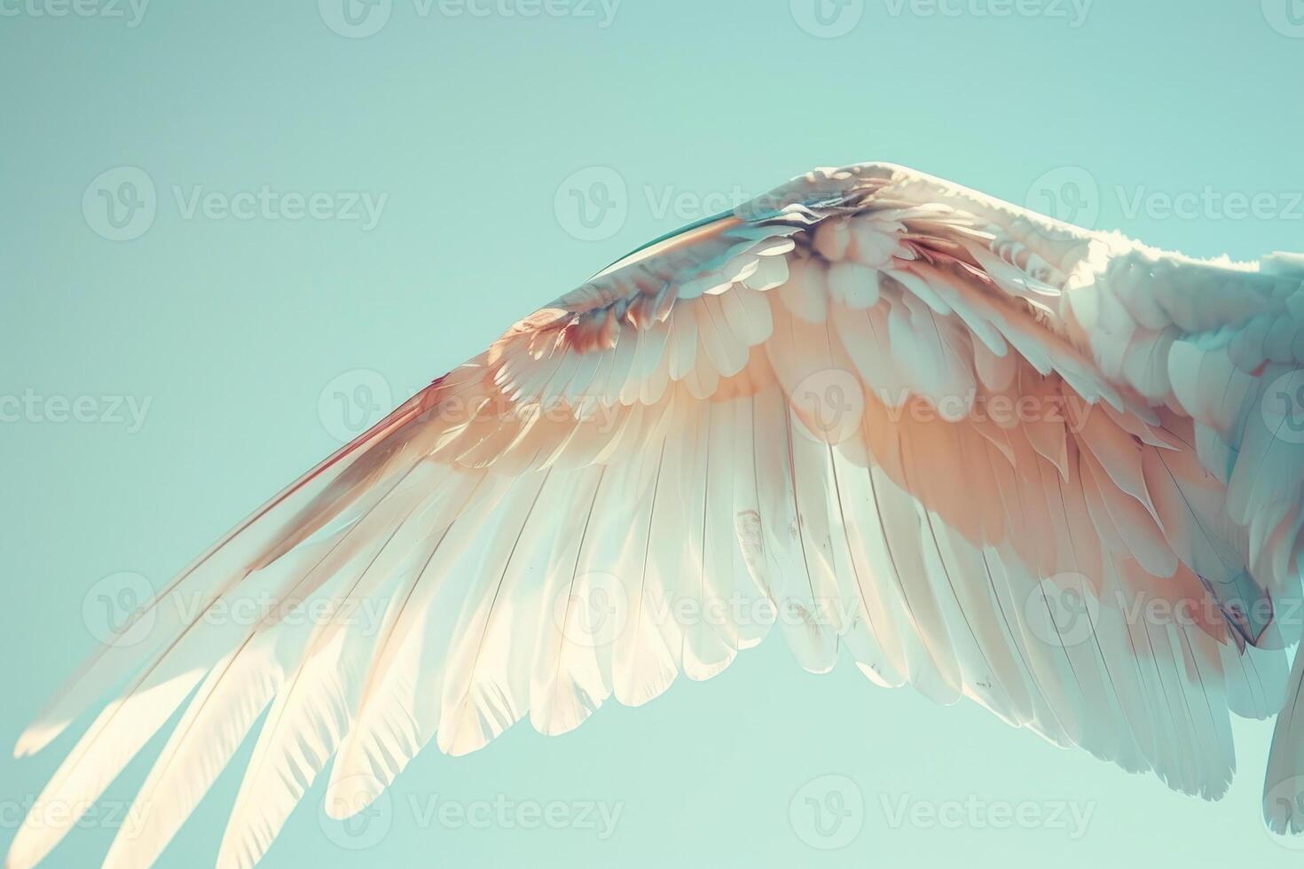 A stunning close-up reveals the intricate details of a bird's wing, showcasing soft feathers in shades of white and pale pink against a bright, clear sky photo