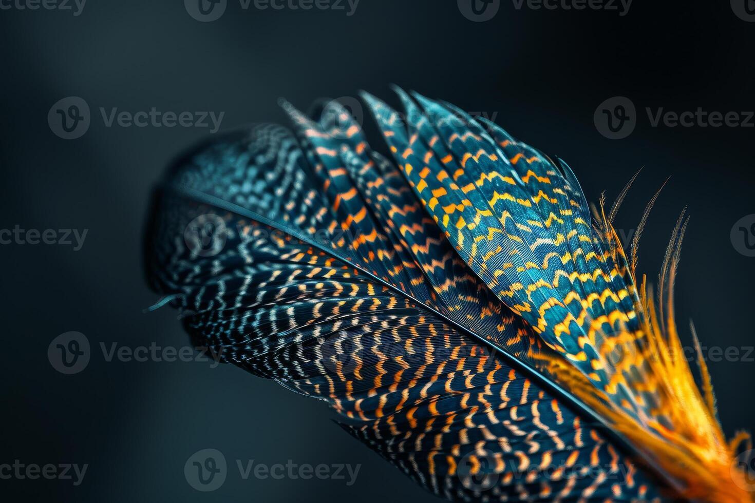 A detailed close-up reveals the stunning colors and patterns of a peacock feather, highlighting its bluish-green and orange hues on a dark backdrop photo