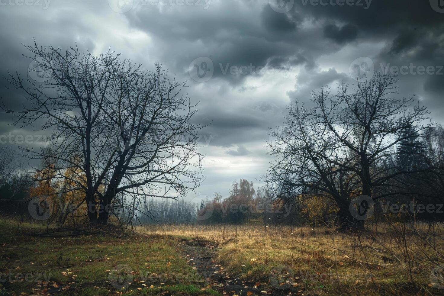 Bare trees stand silently in a misty field as dark clouds loom overhead during dusk, creating a serene yet foreboding atmosphere in nature photo