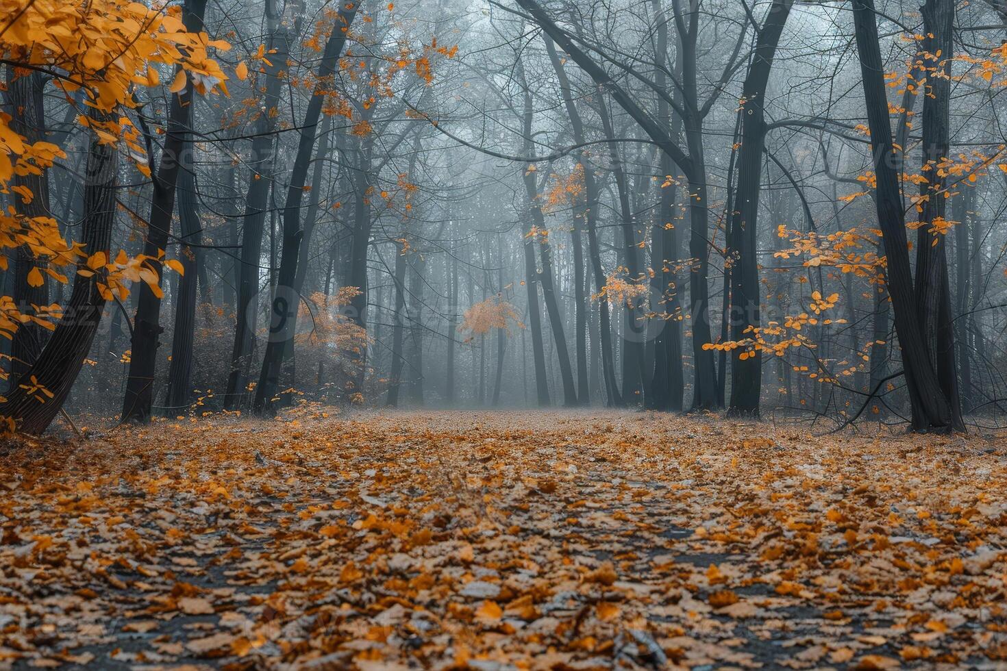 A peaceful forest pathway is lined with vibrant autumn leaves. The trees are enveloped in a thick fog, creating a serene and mysterious atmosphere in the early morning photo