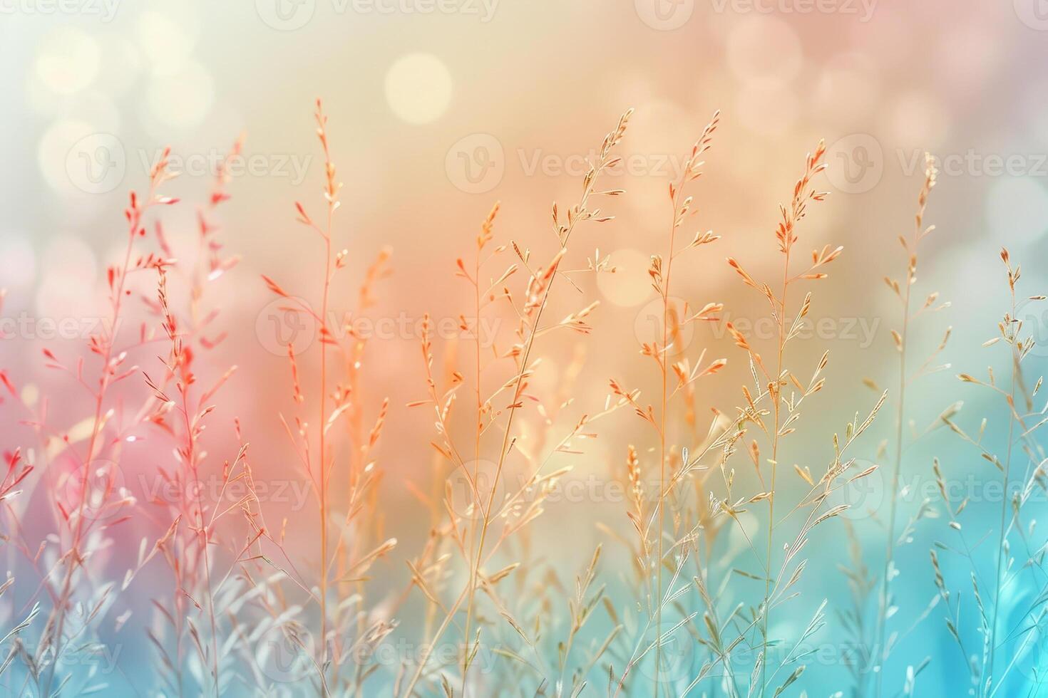 A field of grass with a blue sky in the background photo