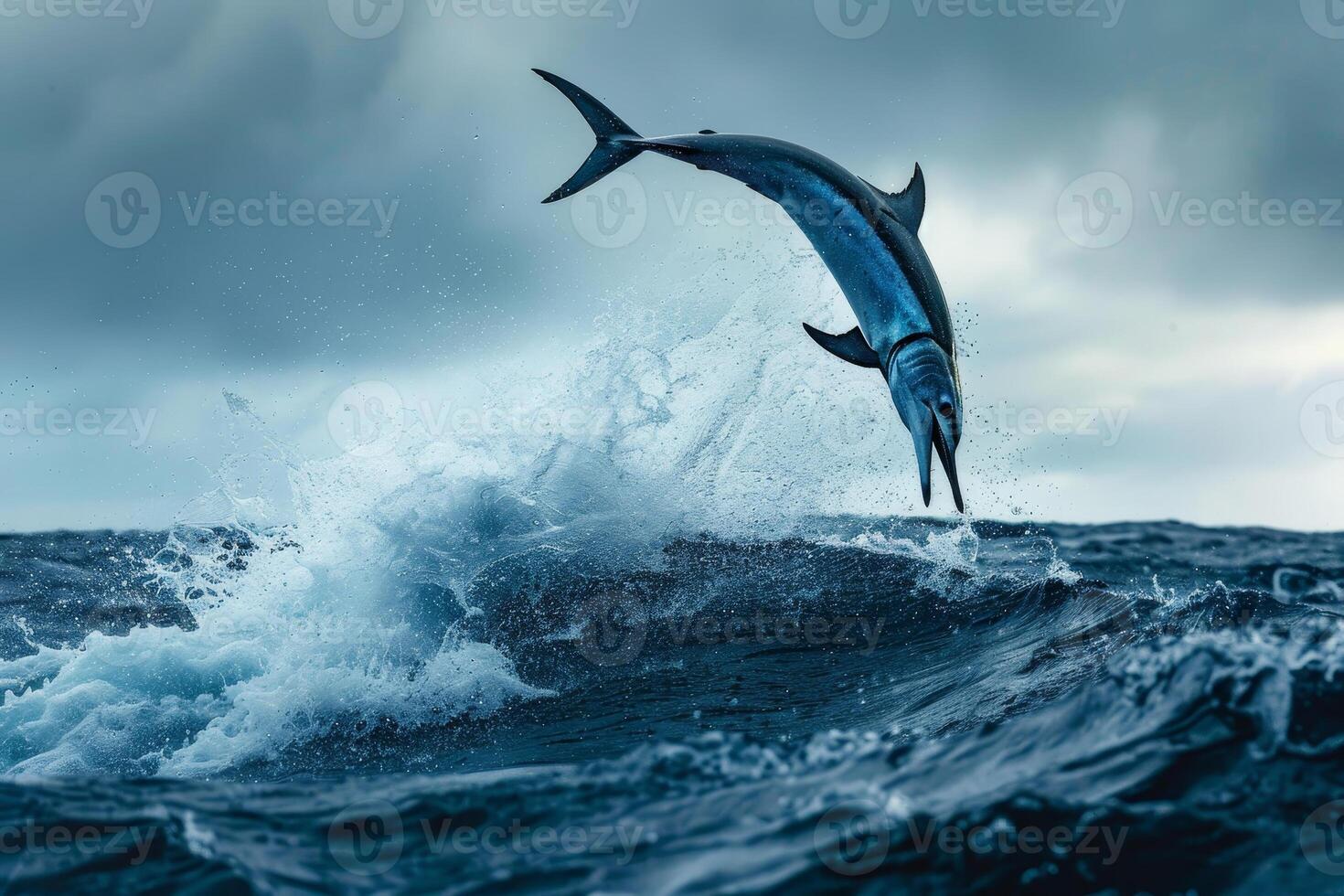 Blue marlin jumping out of the water photo