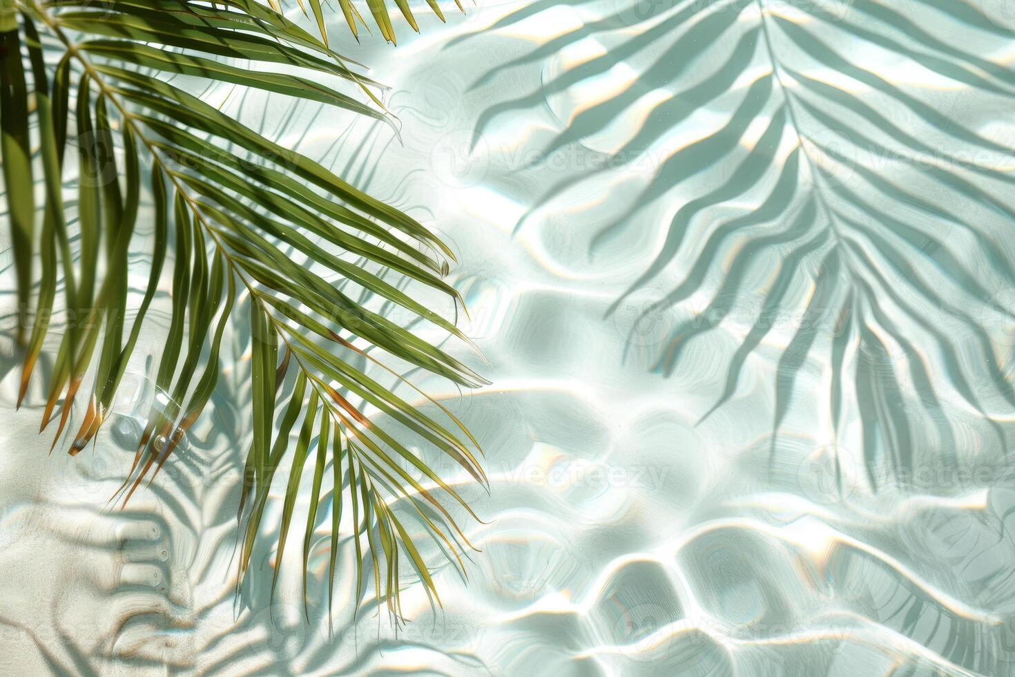 Palm leaves in the water with a reflection of the sun photo