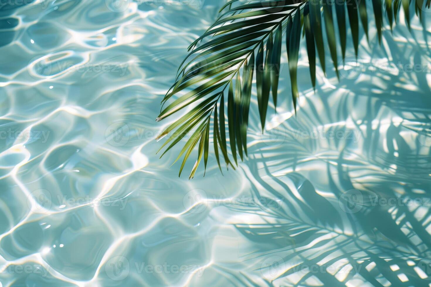 A palm tree is in the water with the water reflecting on it photo
